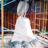 eagle07_1_w