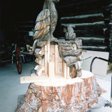 eagle_nest1_w