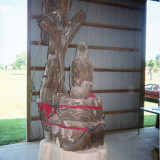 eagle_nest8_w