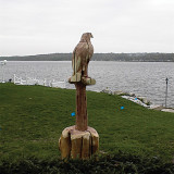 eagle_perch1w