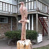 eagle_perch3w