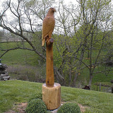 eagle_perch4w