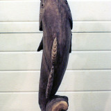 fish2_w