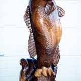 fish6_w