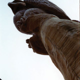 ginko_eagle1_w