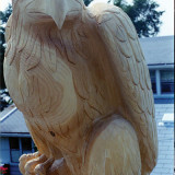 ginko_eagle4_w