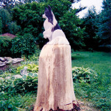 bw_dog1_w