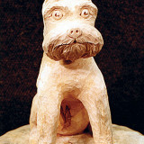 terrier1_w