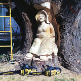ginko_woman10w