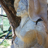 ginko_woman13w
