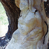 ginko_woman15w