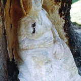 ginko_woman17w