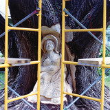 ginko_woman23w