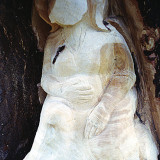ginko_woman5w