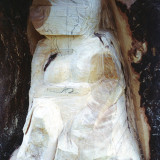 ginko_woman7w
