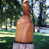 owl7_w
