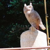 owl_seq16_w