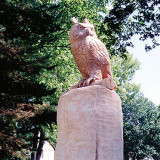 owl_seq20_w