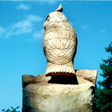owl_seq21_w
