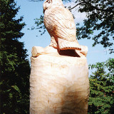 owl_seq24_w