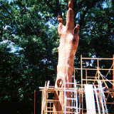 owl_tree1_w