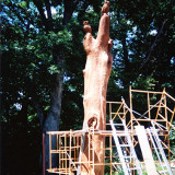 owl_tree6_w